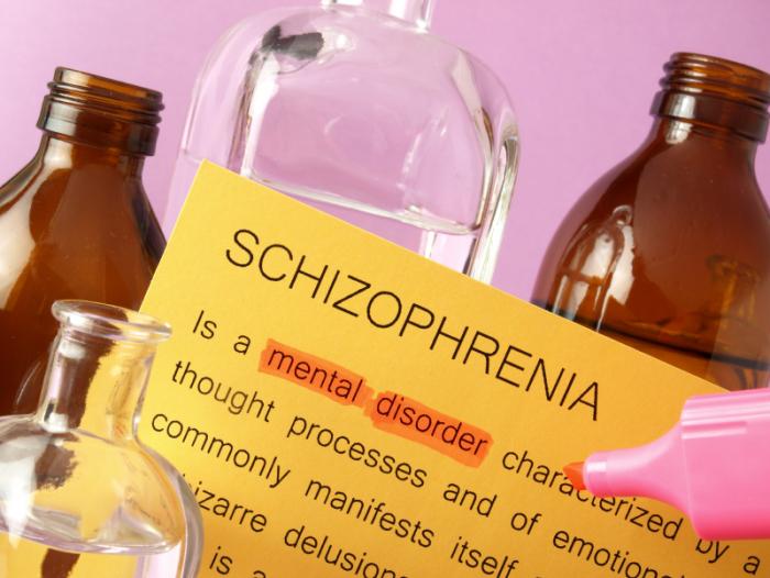 Paper on schizophrenia