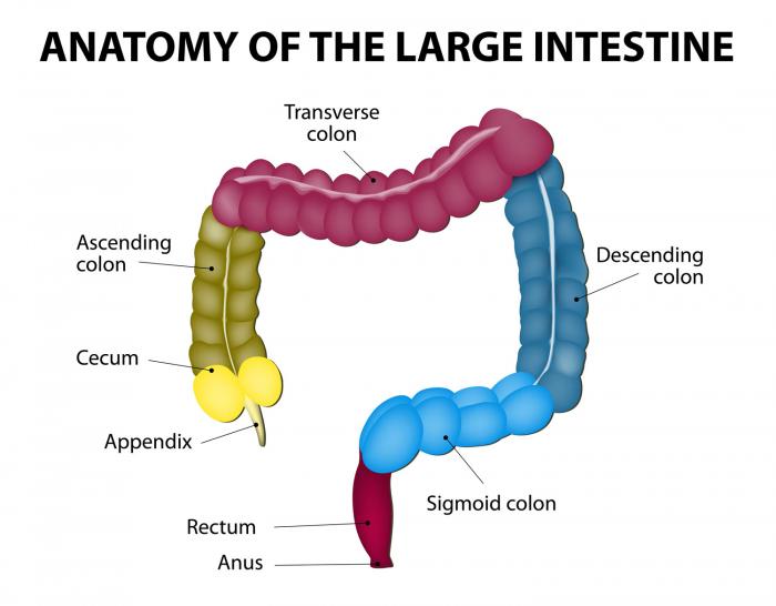 What are the most serious signs of a colon infections?