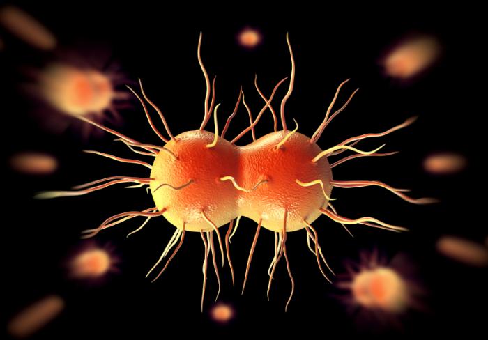 Gonorrhea: Causes, Symptoms, and Treatments - Medical News Today