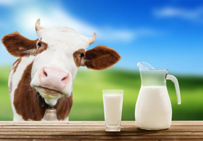 http://hrvatskifokus-2021.ga/wp-content/uploads/2016/06/cow-and-a-jug-of-milk.jpg