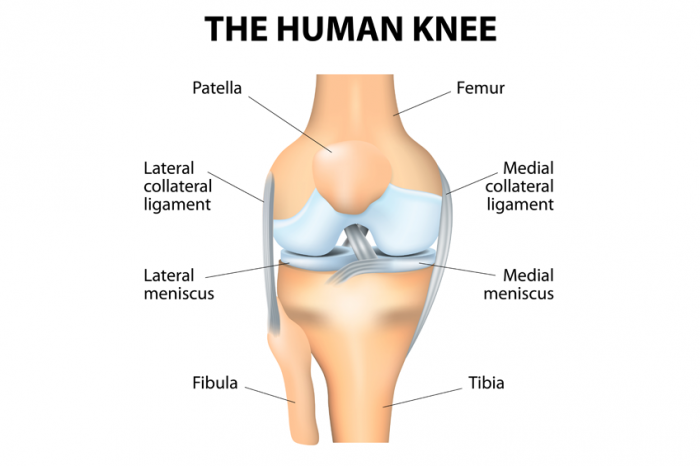 What are some common types of knee problems?