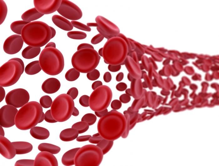 Image result for blood banking