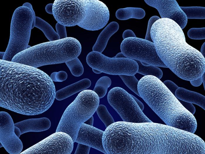 What is a Clostridium difficile infection?