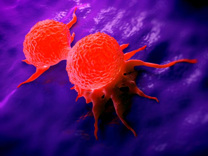 Triple negative breast cancer research paper