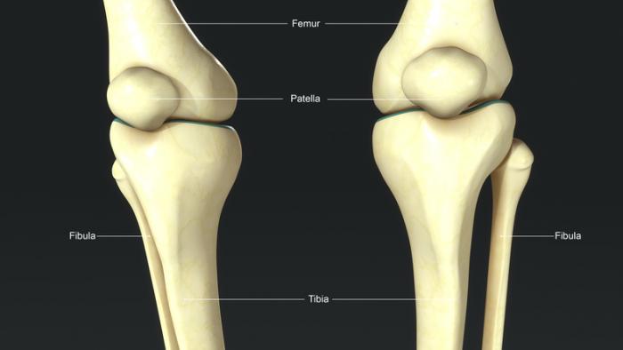 Fibula Fracture: Symptoms, Treatment, and Recovery – Page 10431