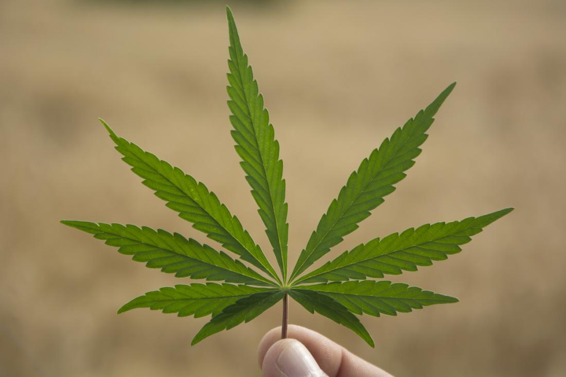 Long-term marijuana users show dampened stress response
