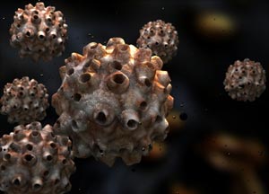 Human Papillomavirus (HPV): Causes, Symptoms and Treatments - Medical