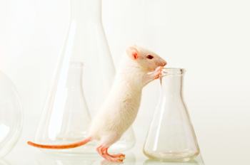 Mouse with glass containers