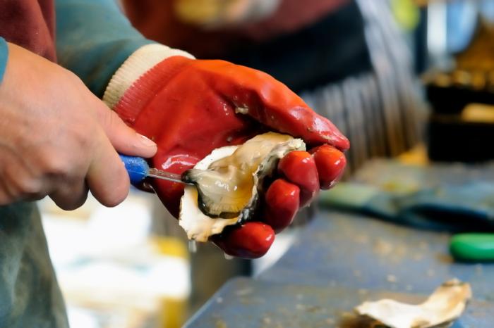 Oyster shucking gloves