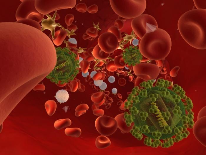 hiv-virus-and-blood-cells.jpg