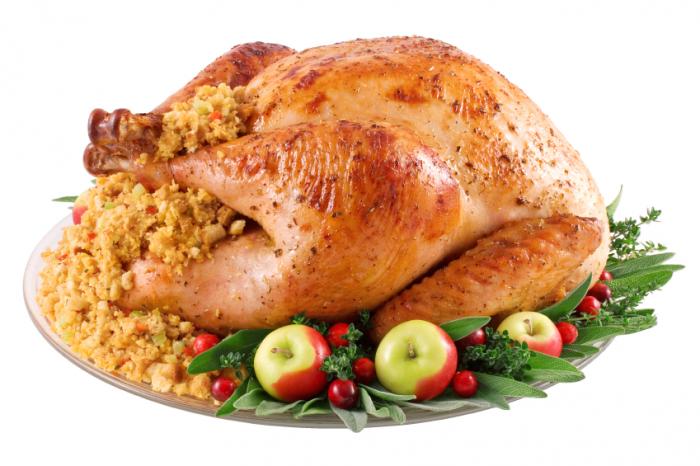 thanksgiving turkey]