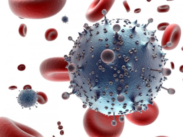 HIV virus in blood