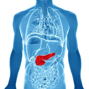 outline of organs with highlighted pancreas
