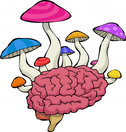 illustration of mushrooms growing out of a brain