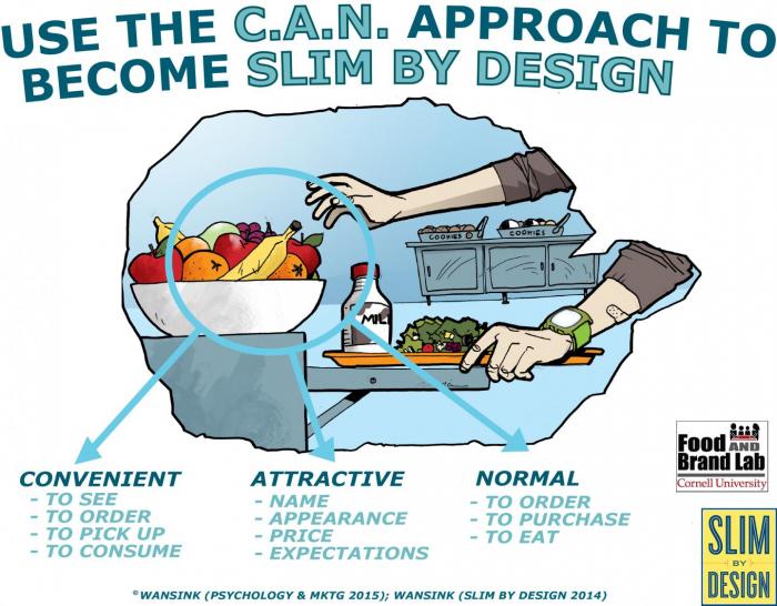 Use the CAN Approach to become Slim by Design