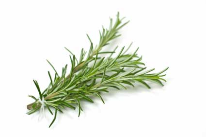 Some rosemary