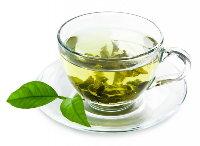Green tea compound could help treat Down syndrome