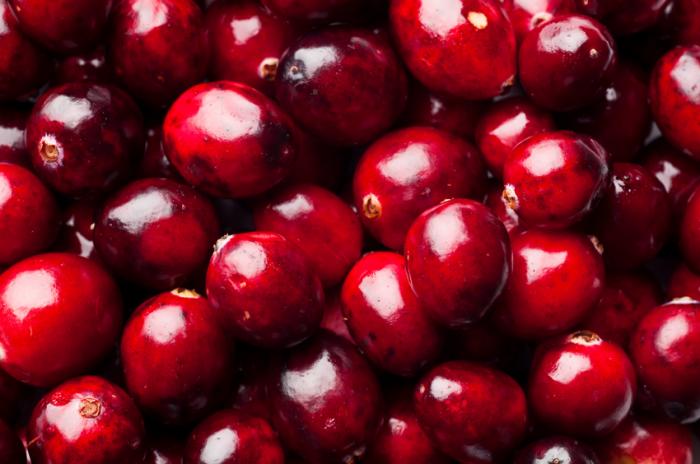 Cranberry extract disrupts spread of hard-to-treat bacteria