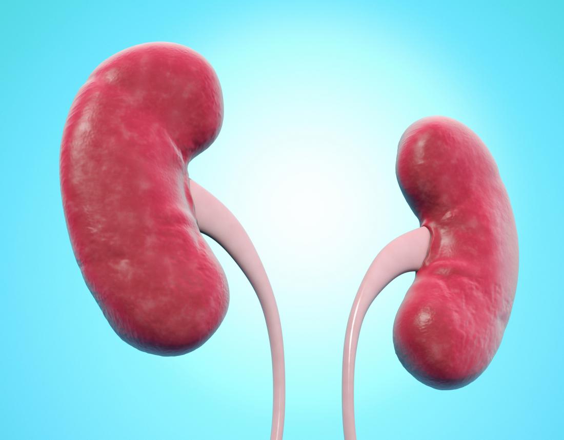 All About Nephroptosis, Nephroptosis: Causes, diagnosis, and treatment