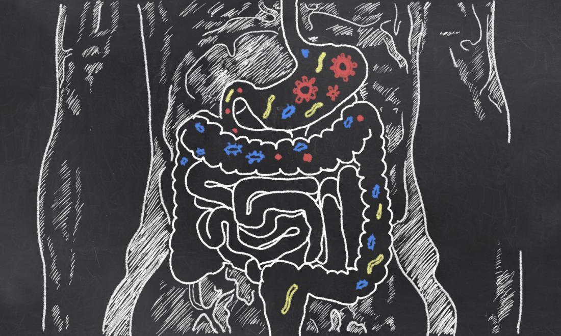 inflammatory bowel disease, New IBD treatments may combine antifungals and probiotics