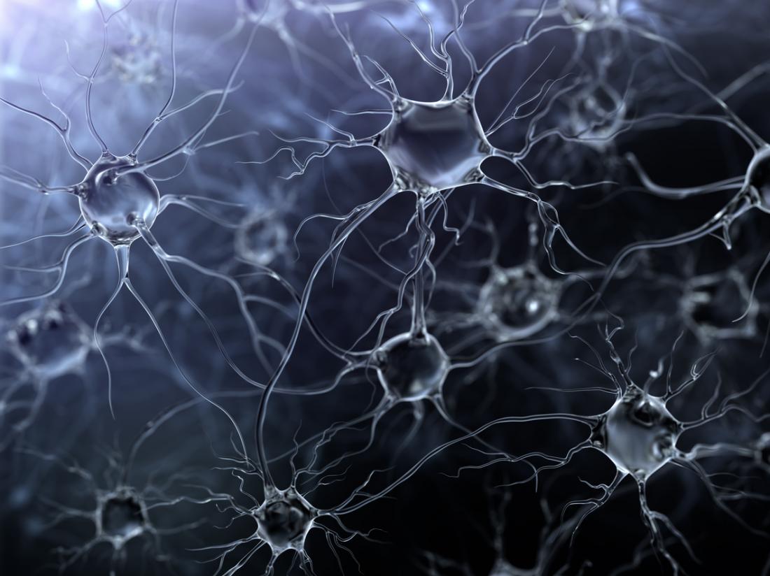 neuron, Dementia: Study helps to unravel the cause of brain cell death