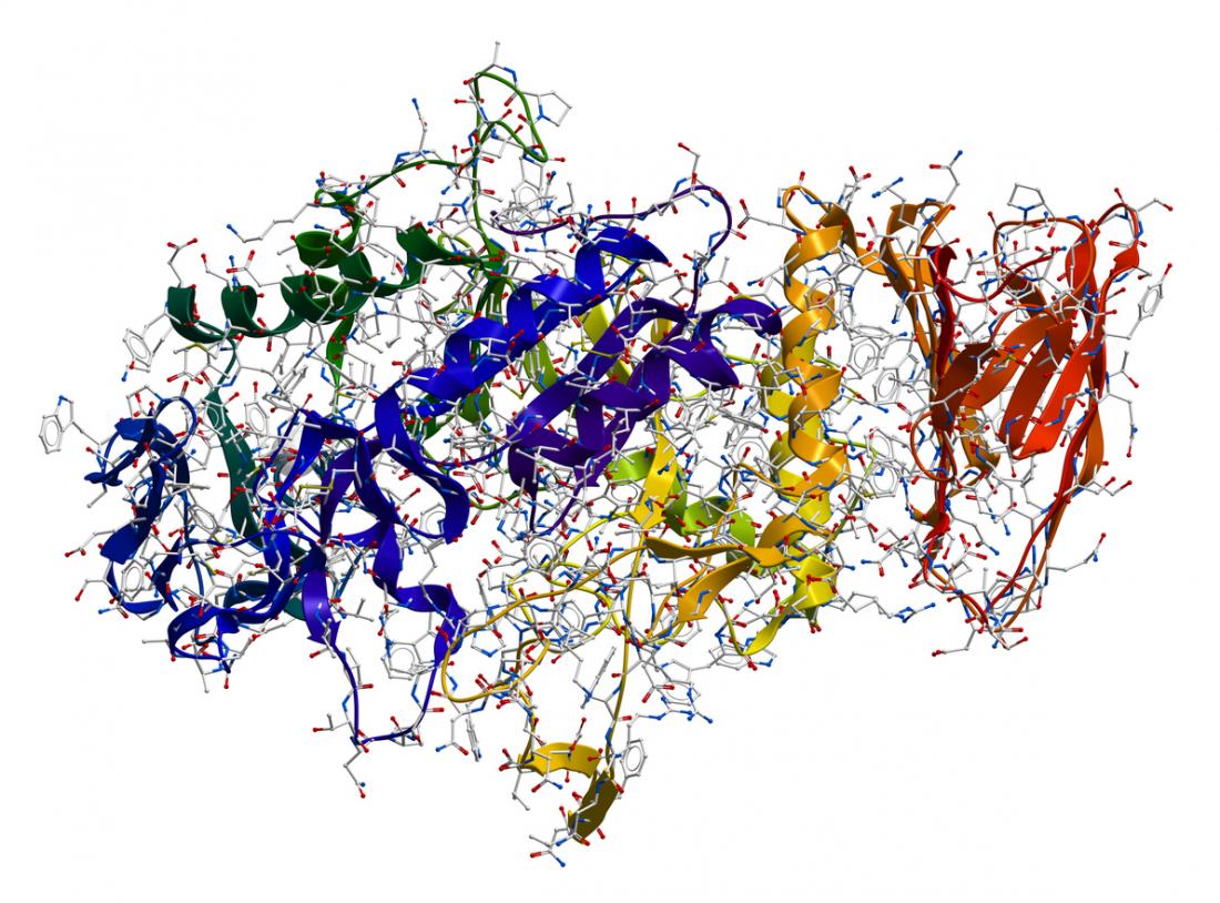 enzyme, A brief introduction to enzymes