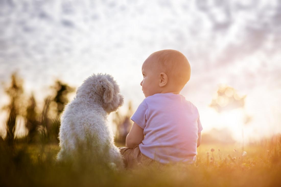 dermatitis, Dogs may lower risk of childhood eczema, reduce asthma symptoms