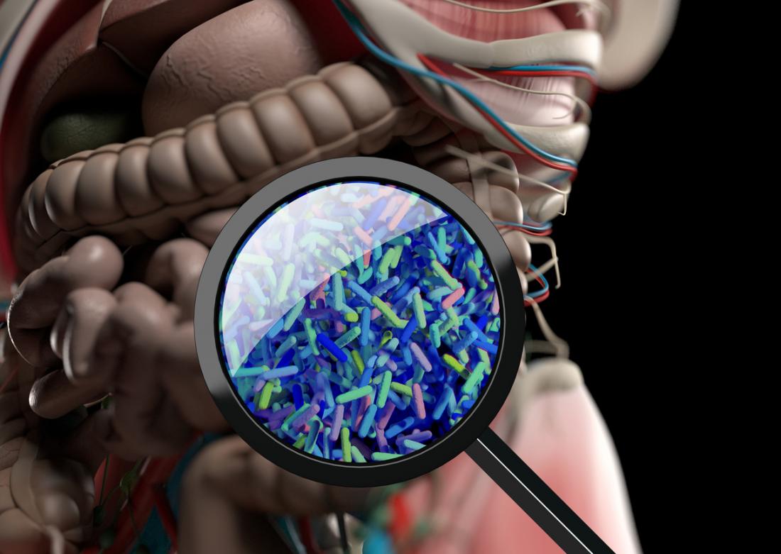 post-traumatic stress disorder, PTSD linked to changes in gut bacteria
