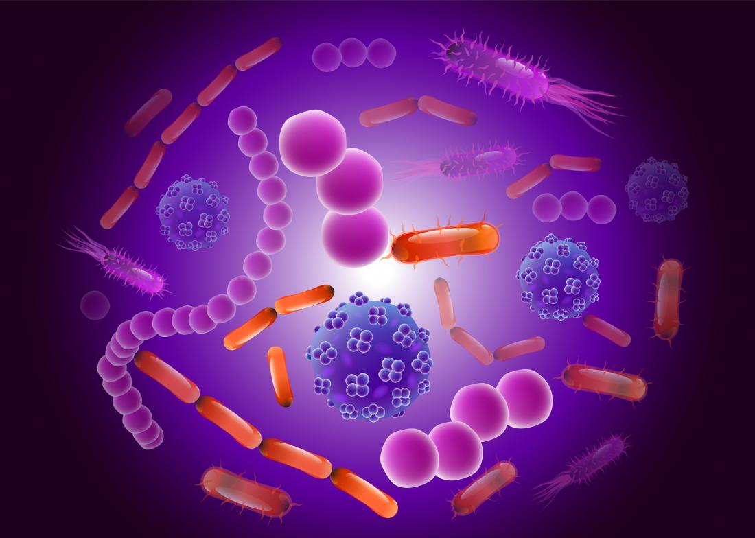 bacteria for longevity ile ilgili görsel sonucu