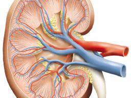 What to know about kidney infections