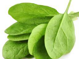 spinach leaves - BOERENKOOL WAT ZIJN DE GEZONDHEIDSVOORDELEN ?