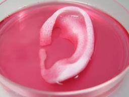 Functional human body parts built using 3D-bioprinting technique