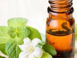 essential oil for headaches - Wat zijn de beste essentiële oliën voor jeukende insectenbeten?