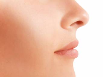 Olfactory receptors 'do more than smell'