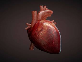 Using small molecules to regenerate heart tissue